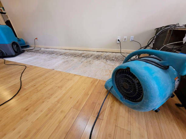 Professional Basement Flood Cleanup technician working in Kent, WA